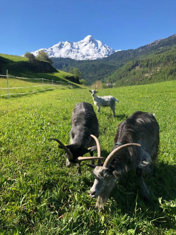 Granbichlhof Lägenhet Sölden Exteriör bild