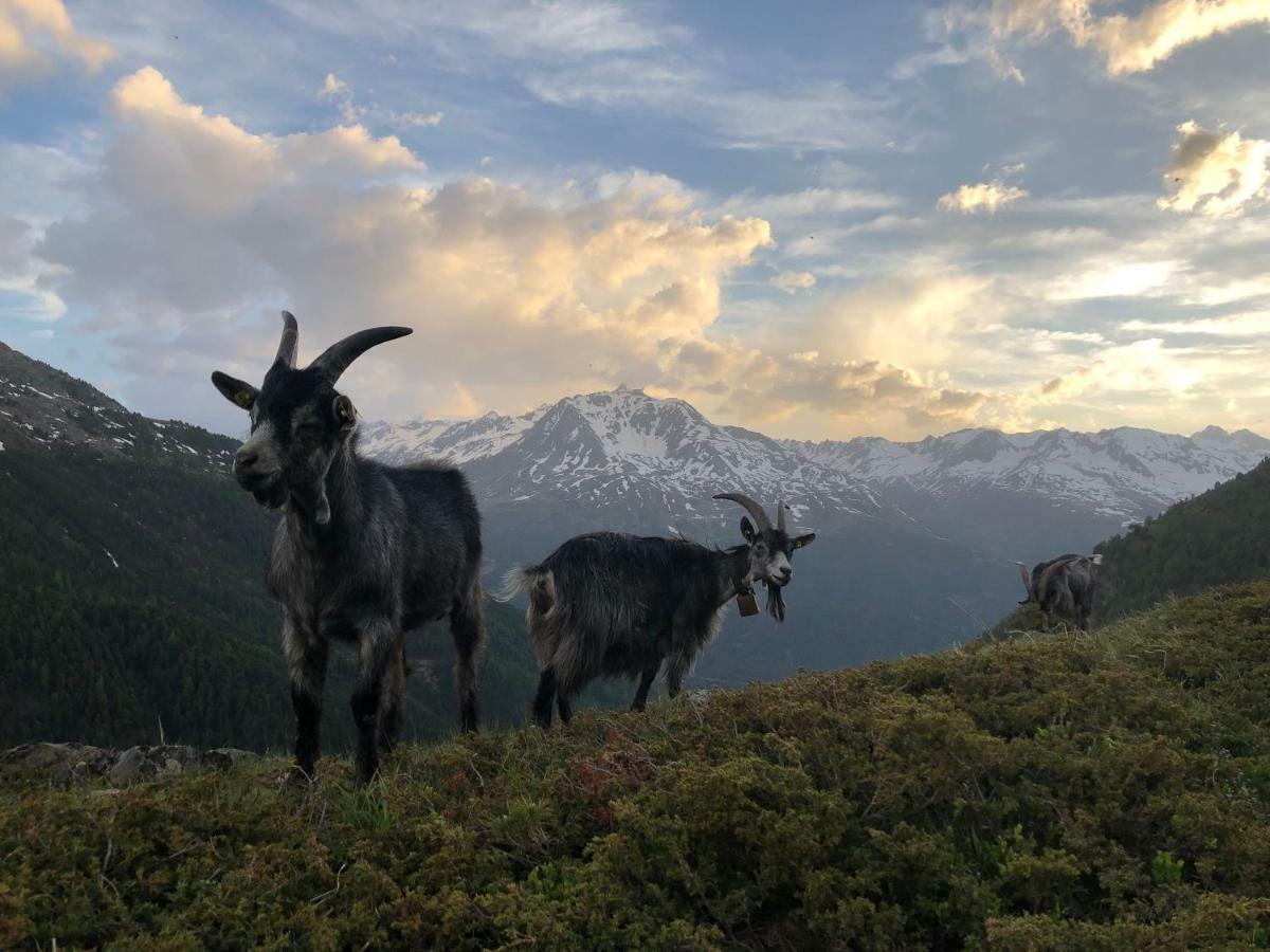 Granbichlhof Lägenhet Sölden Exteriör bild