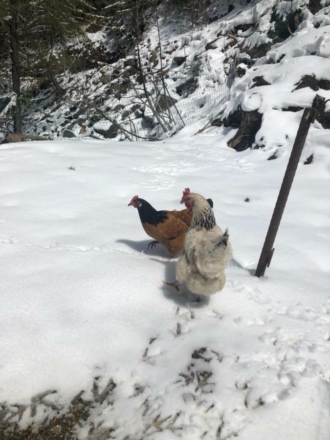Granbichlhof Lägenhet Sölden Exteriör bild