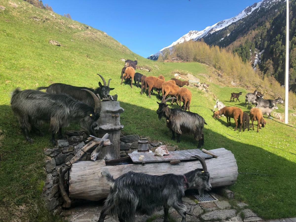 Granbichlhof Lägenhet Sölden Exteriör bild