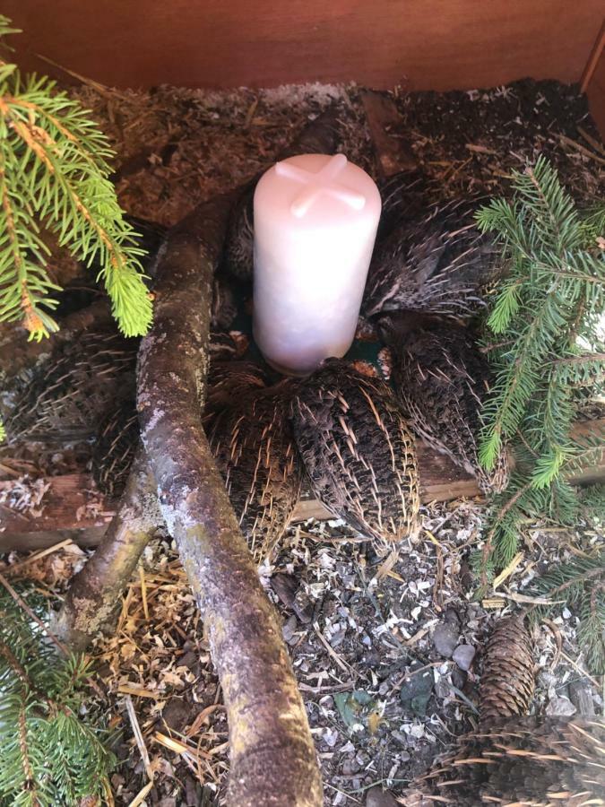 Granbichlhof Lägenhet Sölden Exteriör bild