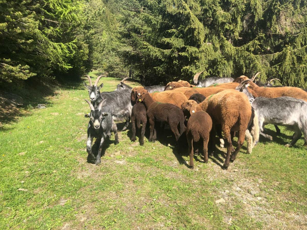 Granbichlhof Lägenhet Sölden Exteriör bild